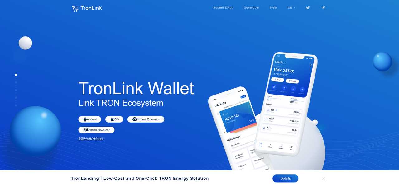 Things to Consider Before Importing a Wallet to TronLink