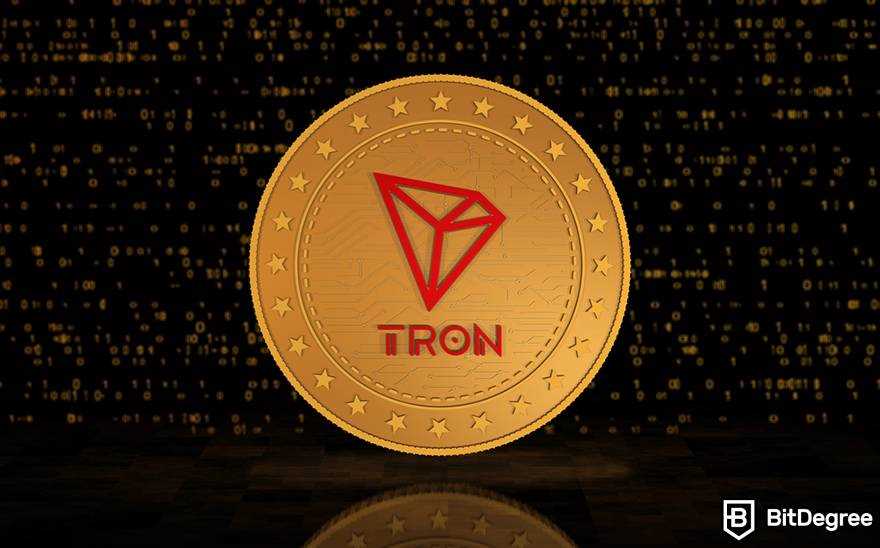 What are Tron Wallets
