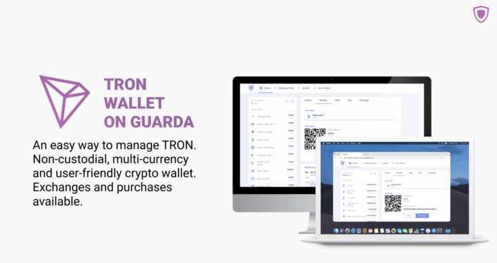 A Beginner’s Step-by-Step Guide to Setting Up and Utilizing a Tron Web Wallet
